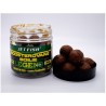 Kulki boosterowane 250ml 24mm BIOENZYM FISH - Łosoś/Asefoetida