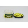 POP UP Signal 12mm - CITRUS MIX